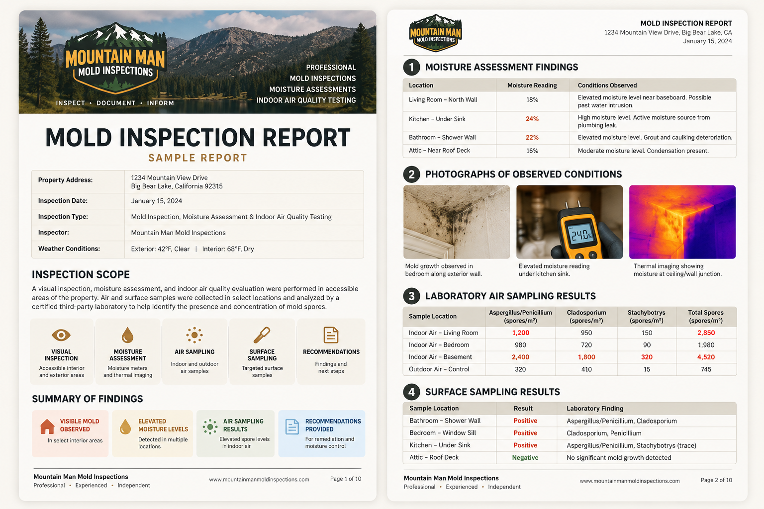 Picture of a sample mold inspection report
